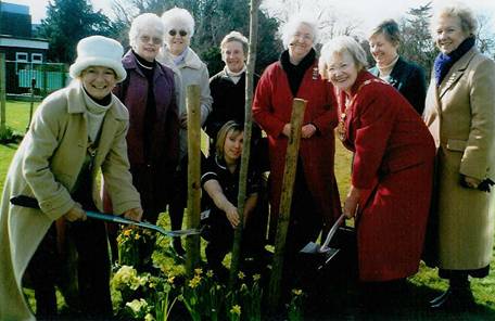 Tree planting ceremony