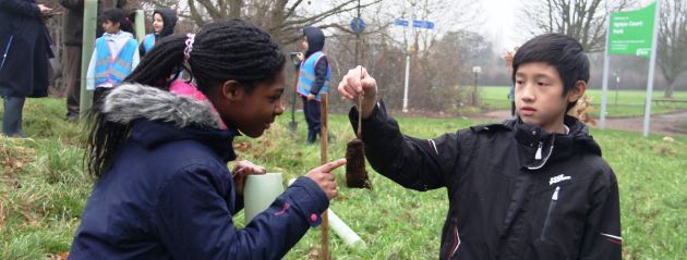 The Woodland Trust provide trees with Slough Council and local Schools to build a copse